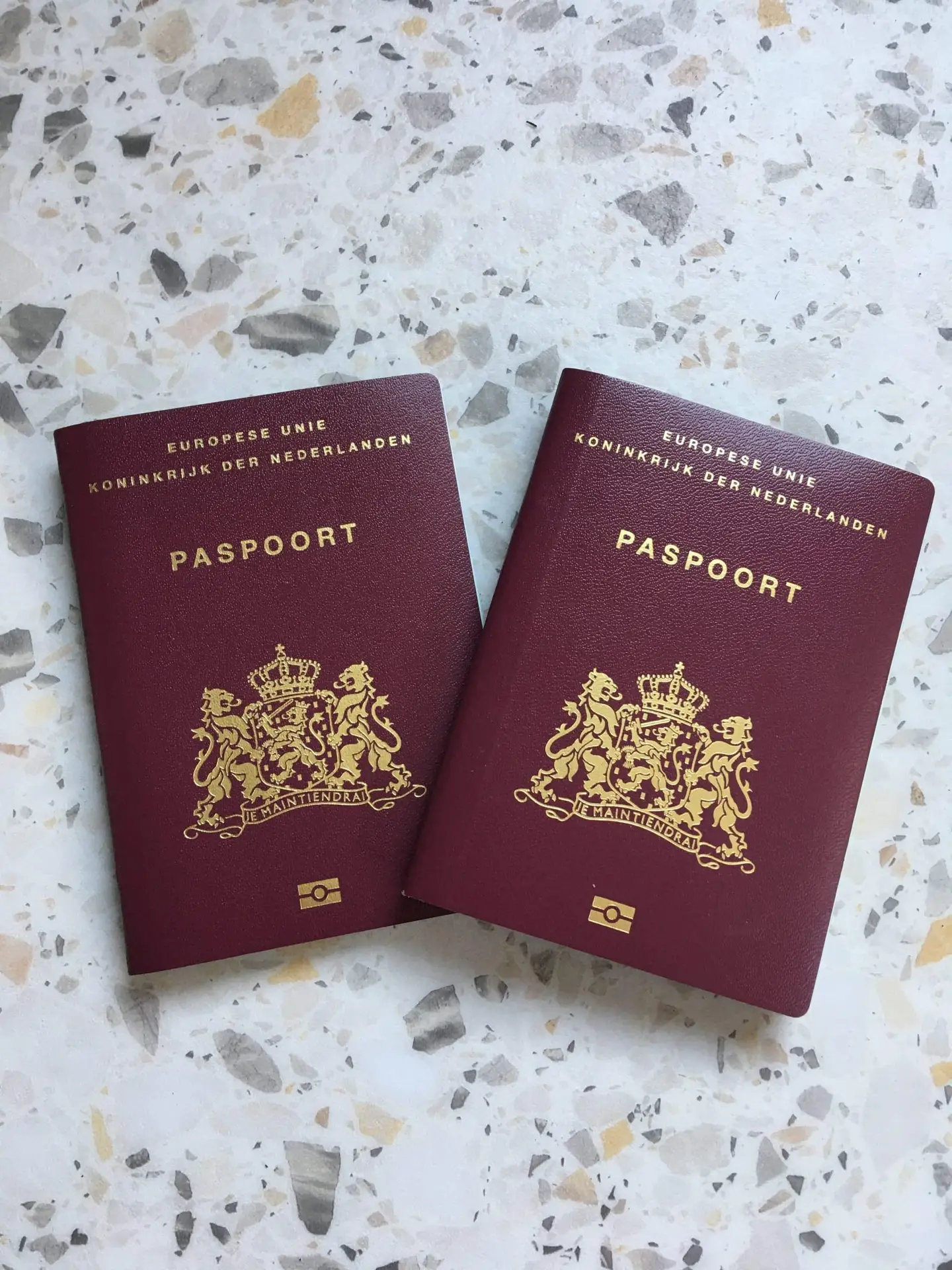 Dutch passport, Buy Netherland Passport